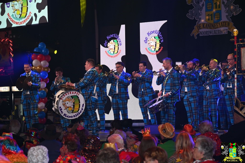 ../Images/Seniorencarnaval 2026 091.jpg